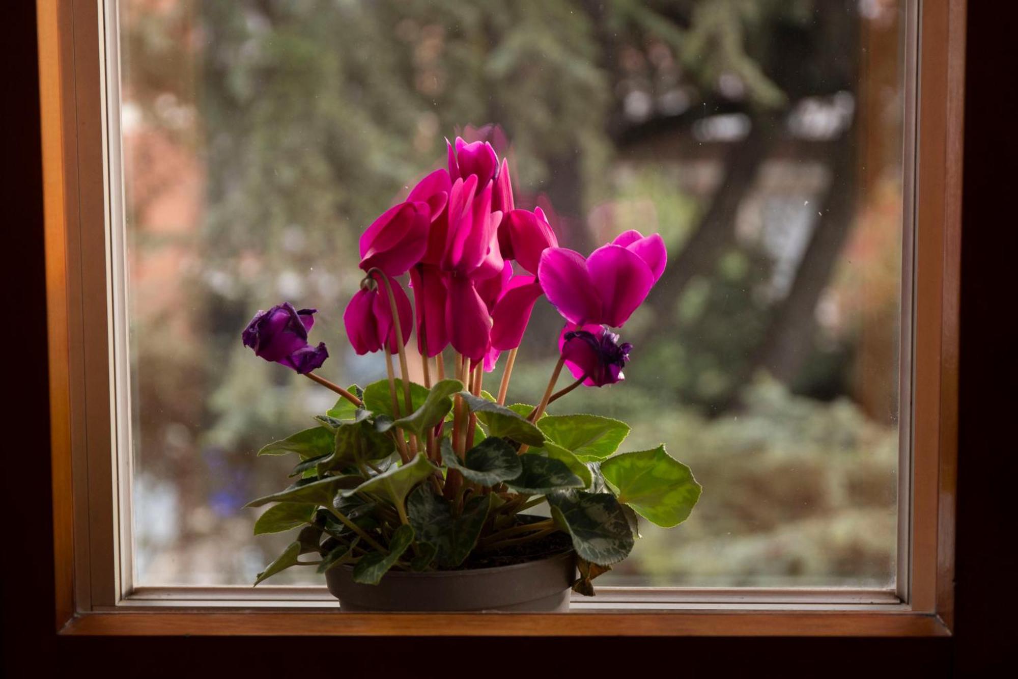 Apartmán Casa Giuly Parma Exteriér fotografie
